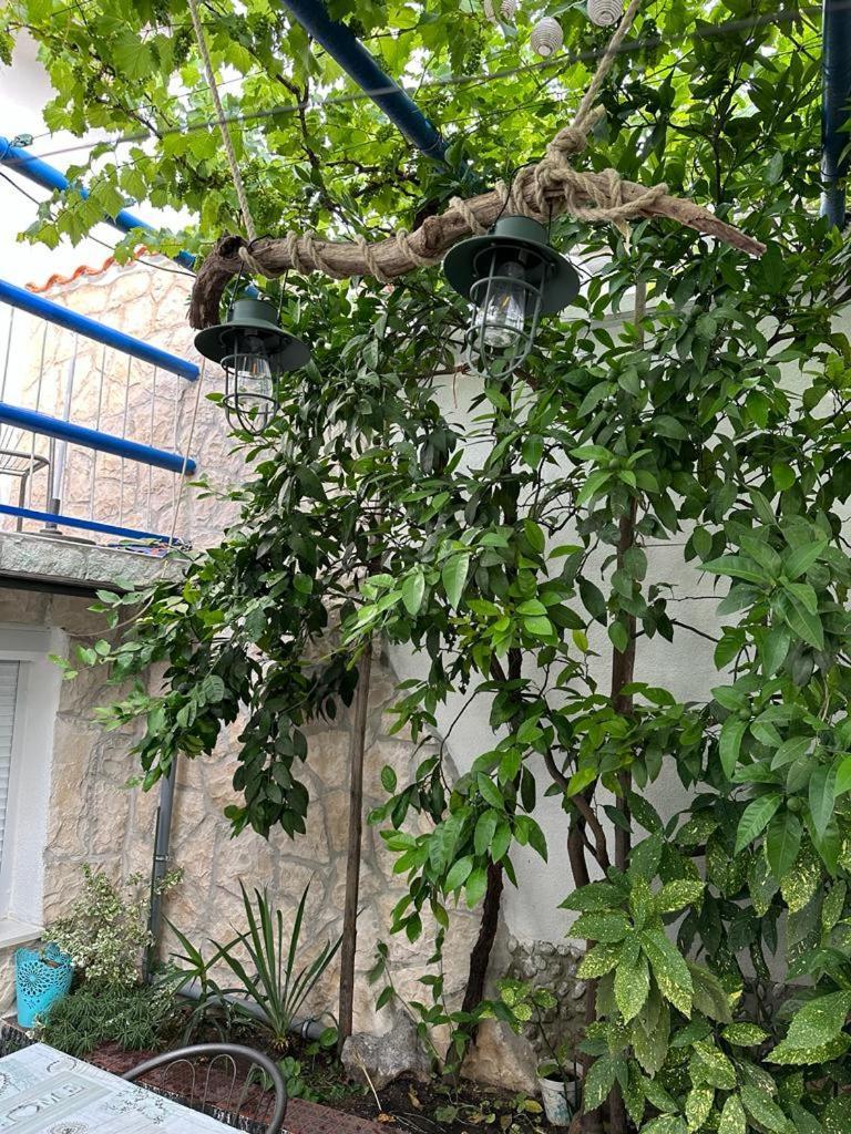 Vila Katica Bribir  Kültér fotó